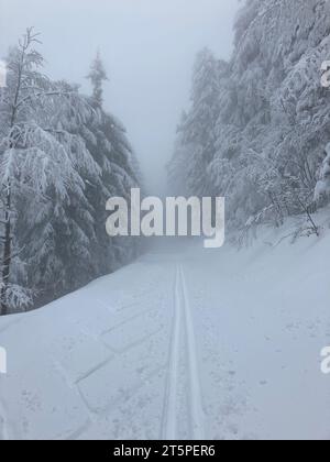 Piste da sci di fondo nella nebbia. Magica foresta invernale nebbiosa con piste da sci che scompaiono nella nebbia. Atmosferico. Clima freddo. Foto Stock