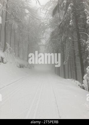 Piste da sci di fondo nella nebbia. Magica foresta invernale nebbiosa con piste da sci che scompaiono nella nebbia. Atmosferico. Clima freddo. Foto Stock