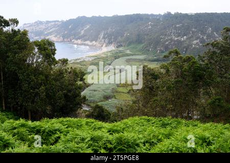 Barayo Reserva Parcial Naturale. Luarca, Asturie, Spagna. Foto Stock