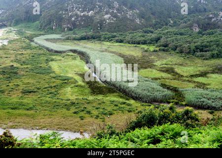 Barayo Reserva Parcial Naturale. Luarca, Asturie, Spagna. Foto Stock