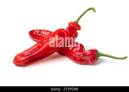 Un paio di peperoni rossi freschi a punta, isolati su sfondo bianco Foto Stock