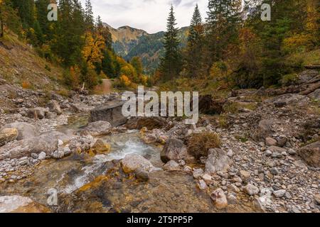 Vista sul torrente Enger Grundbach in autunno, stagione autunnale nella stretta Engtal o valle dell'Ing, Hinterriss, Tirolo, Austria, Europa Foto Stock