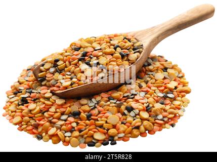 Daal misto o più lenticchie Foto Stock