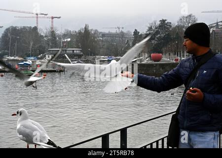 Un uomo sta dando da mangiare ai gabbiani sul lago di Zurigo. E' in piedi sul molo con ringhiere metalliche. Foto Stock