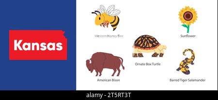stati del Kansas con simbolo di girasole scatola decorata di bisonti americani, tigre barrata di tartaruga, salamandra, miele, illustrazione delle api Illustrazione Vettoriale