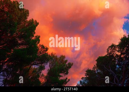 Catturando lo spettacolo serale della natura, il cielo si illumina con una tela vibrante di nuvole fiammeggianti che si contrappongono alle silhouette dei delicati rami degli alberi Foto Stock