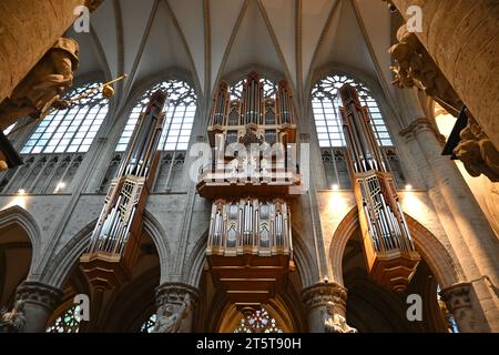 Grande organo a canne di Gerhard Grenzing all'interno della Cattedrale di San Michael e St. Gudula (Cathédrale des Saints Michel et Gudule) – Bruxelles Belgio Foto Stock