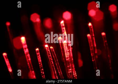 Trefoli in fibra ottica che trasmettono luce rossa su sfondo nero, vista macro Foto Stock