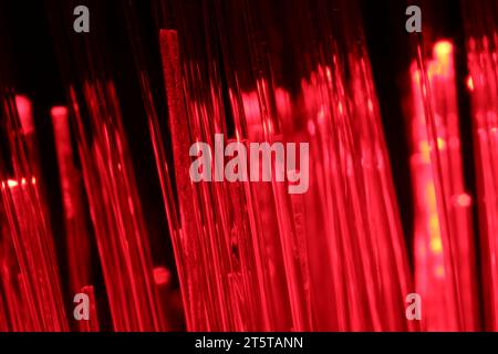 Trefoli in fibra ottica che trasmettono luce rossa su sfondo nero, vista macro Foto Stock