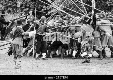 Spinta della picca nel punto in cui due colonne opposte di picchieri si incontrano e si bloccano in posizione. Ricostruzione della guerra civile inglese, assedio di Basing House 16.09.23 Foto Stock