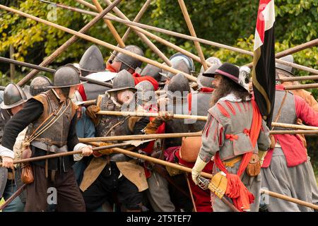 Spinta della picca nel punto in cui due colonne opposte di picchieri si incontrano e si bloccano in posizione. Ricostruzione della guerra civile inglese, assedio di Basing House 16.09.23 Foto Stock