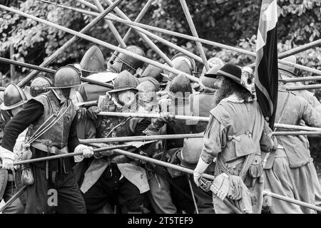 Spinta della picca nel punto in cui due colonne opposte di picchieri si incontrano e si bloccano in posizione. Ricostruzione della guerra civile inglese, assedio di Basing House 16.09.23 Foto Stock