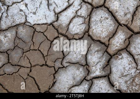 terreni salini-alcalini incrinati, primo piano della foto Foto Stock