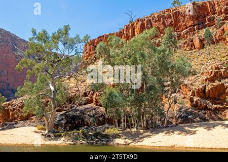 Ormiston Gorge Foto Stock