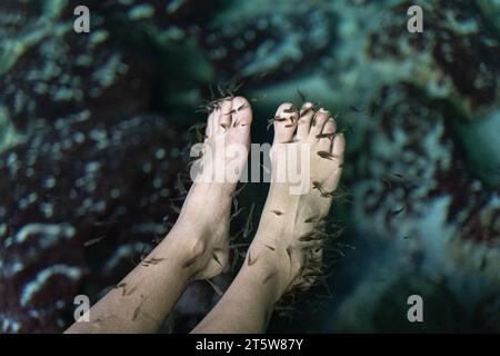 Vista ravvicinata dei bellissimi piedi in una pedicure di pesce ed esfoliazione nelle acque naturali Foto Stock