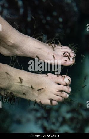 Vista ravvicinata dei bellissimi piedi in una pedicure di pesce ed esfoliazione nelle acque naturali Foto Stock