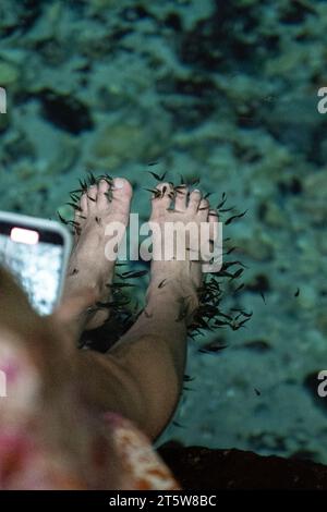 Vista ravvicinata dei bellissimi piedi in una pedicure di pesce ed esfoliazione nelle acque naturali Foto Stock