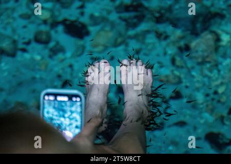 Vista ravvicinata dei bellissimi piedi in una pedicure di pesce ed esfoliazione nelle acque naturali Foto Stock