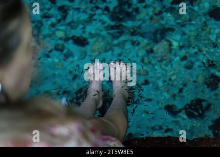 Vista ravvicinata dei bellissimi piedi in una pedicure di pesce ed esfoliazione nelle acque naturali Foto Stock