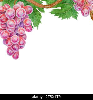Un mucchio di uva rossa. Acquerello illustrazione botanica disegnata a mano. Ingrediente in vino, aceto, succo, cosmetici. Cornice per i menu dei ristoranti Foto Stock