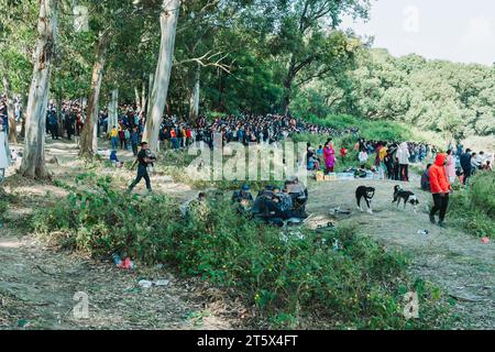 kathmandu, Nepal - 5 novembre 2023: I fan pazzi nepalesi di cricket assistono alla partita di qualificazione della Coppa del mondo T20 tra Nepal e Oman nel Tribhuvan interna Foto Stock