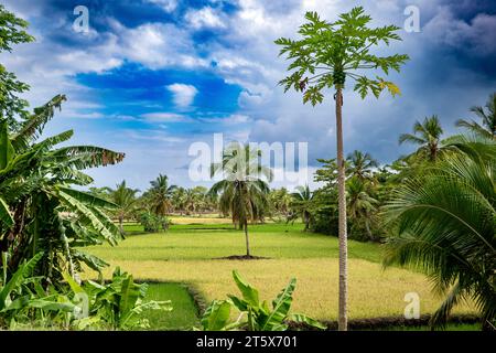 Dalla spiaggia di Nosy Be a Mont Passot Foto Stock