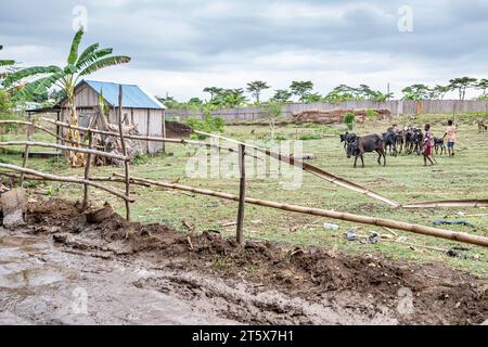 Dalla spiaggia di Nosy Be a Mont Passot Foto Stock