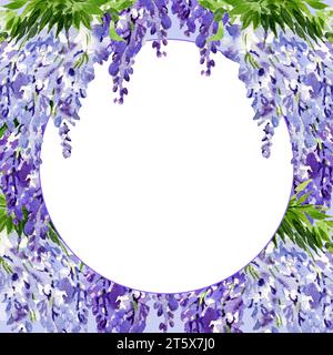 cornice rotonda acquerello con ramificazione di fiori di glicine, illustrazione disegnata a mano con fiori lilla primaverili, pianta blu isolata su sfondo bianco Foto Stock