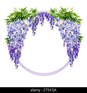 cornice rotonda acquerello con ramificazione di fiori di glicine, illustrazione disegnata a mano con fiori lilla primaverili, pianta blu isolata su sfondo bianco Foto Stock