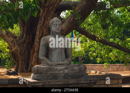 Statua di buddha ad Abhayagiri Dagoba stupa ad Anuradhapura, Sri Lanka Foto Stock