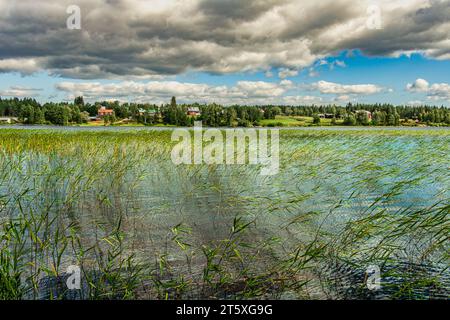 Tårrajaur, area di riposo lungo la E45, panorama del lago di Tårrajaure circondato da una foresta di conifere con cielo nuvoloso. Comune di Jokkmokk, circolo di articoli Foto Stock