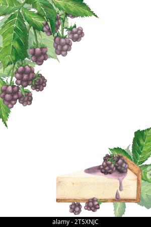 Cornice acquerello con cheesecake blackberry, ramoscelli blackberry e foglie verdi su sfondo bianco. Illustrazione disegnata a mano. Modello per il menu Foto Stock