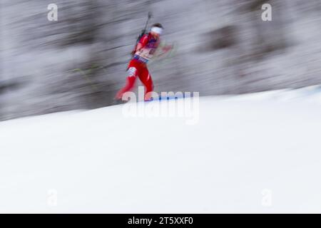 Biathlon allgemein Biathlon Welt Cup 10 KM Sprint der Herren a Ruhpolding, Deutschland AM 13.01.2017 Foto Stock