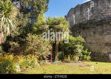 Un angolo tranquillo nei giardini del museo di York con i resti di St Mary's Abbey, Inghilterra Regno Unito. Ottobre 2023 Foto Stock