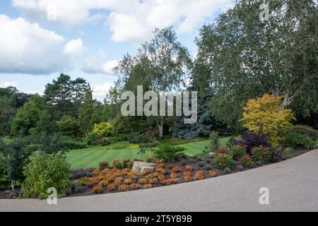 Piante di fogliame RHS Harlow Carr Foto Stock