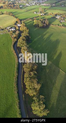 Gli alberi veterani di Bream Road, Forest of Dean, Gloucestershire. Foto Stock