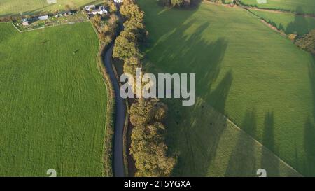 Gli alberi veterani di Bream Road, Forest of Dean, Gloucestershire. Foto Stock