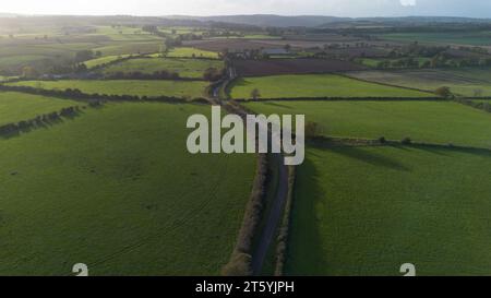 Gli alberi veterani di Bream Road, Forest of Dean, Gloucestershire. Foto Stock