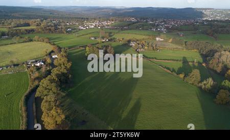 Gli alberi veterani di Bream Road, Forest of Dean, Gloucestershire. Foto Stock
