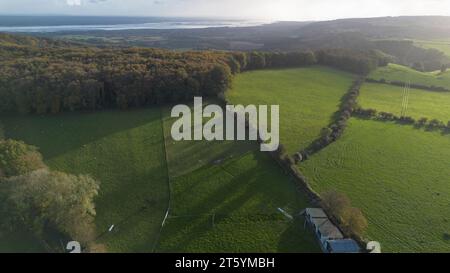 Gli alberi veterani di Bream Road, Forest of Dean, Gloucestershire. Foto Stock