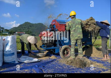 VIETNAM, provincia di Yen Bai, Cam Nhan, contadino che trebbiano riso dopo il raccolto con piccola trebbiatrice mobile / Gemeinde Cam Nhan, Dreschmaschine für Reis, Kleinbauern dreschen Reis nach der Ernte Foto Stock