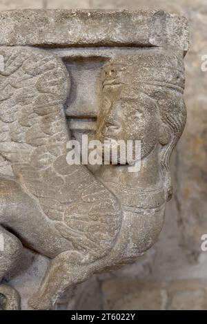 Creatura mitica della capitale scolpita in pietra metà donna metà bestia o femmina con ali e Chiostri del corpo bovino o asino Chiesa di Saint Trophime Arles Francia Foto Stock