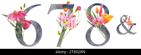 Numero 6 7 8. Set di numeri floreali sei, sette, otto ad acquerello con bouquet di fiori selvatici. Inviti di nozze, biglietti d'auguri, compleanno, logo Foto Stock