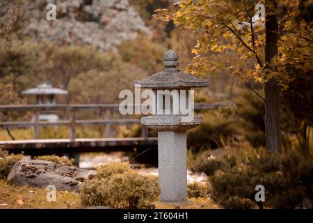 Tradizionale lanterna giapponese in pietra nel giardino autunnale. Fogliame giallo autunnale Foto Stock