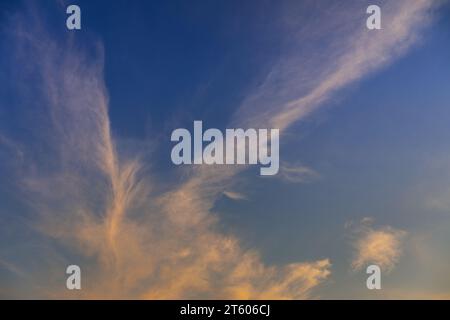 Paesaggio nuvoloso serale. Nuvole di cirrus bianche di alto livello con sfumatura arancione su un cielo blu. Orientamento orizzontale. Foto Stock