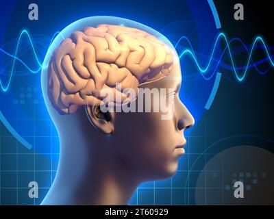 Un'immagine di un cervello umano, attraversato da segnali elettrici, che rappresenta i processi mentali in azione. Illustrazione digitale, rendering 3D. Foto Stock