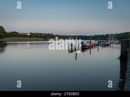 Barche al porticciolo sul fiume Suir nella città di Waterford, Irlanda del Sud Foto Stock