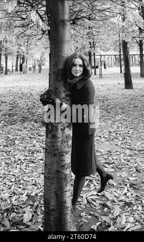 Anni '1960, modella donna che abbraccia un albero, giardino Jardin des Tuileries, Parigi, Francia, Europa, Foto Stock