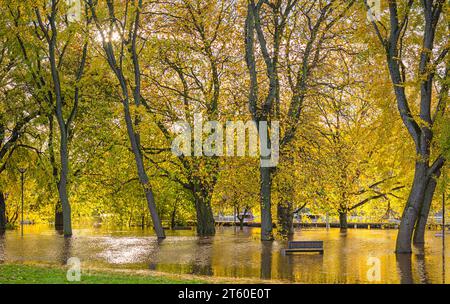 Un fiume ha scoppiato le sue rive e allagato attraverso un parco. Alberi autunnali e un lampione sono bloccati nell'acqua e una panca è parzialmente sommersa. Foto Stock