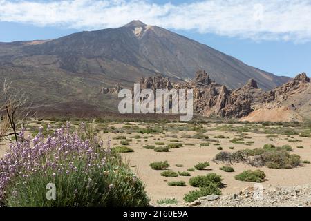 Monte Teide dietro Roques de García, Tenerife, Isole Canarie Foto Stock